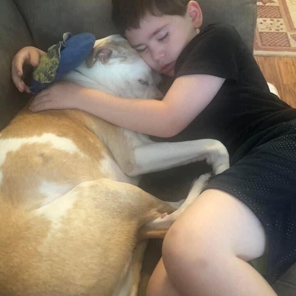 RIP our sweet Daytona - Picture 3 of 4